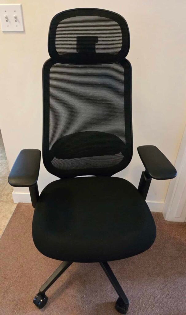 view of unboxed protoarc ec200 budget ergonomic chair canada tried and tested for several week unboxing purchased package arrival at home testing experience