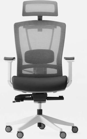autonomous ergochair pro office chair for back pain canada