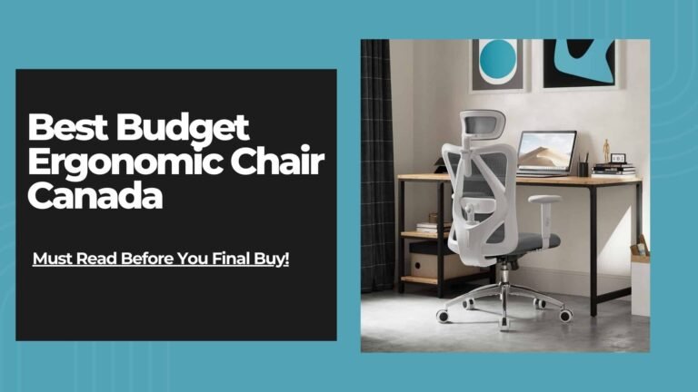 best budget ergonomic chair canada 