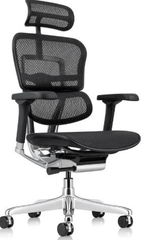 ergohuman gen2 office chair for back pain canada