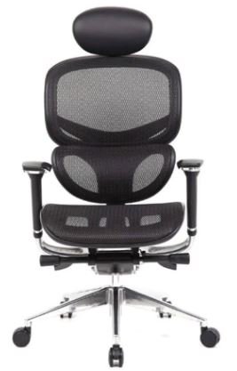 ergomax multi function mesh office chair for back pain canada