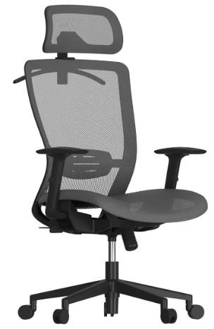 flexispot office chair for back pain canada